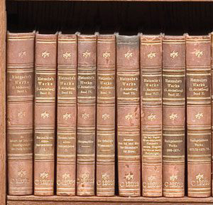 Bookshelf 1